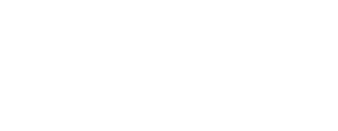 vice club